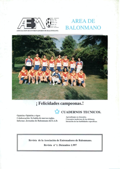 ÁREA DE BALONMANO Nº 1